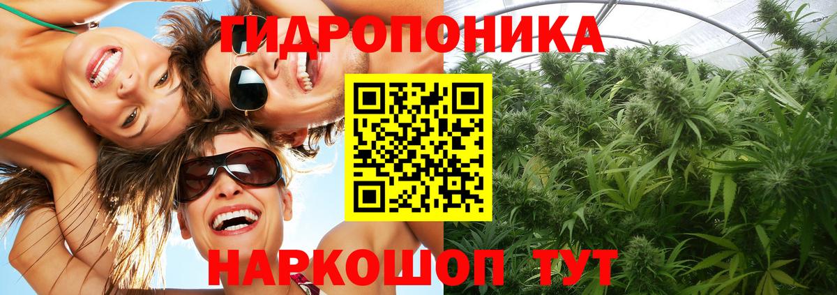 Марихуана сатива  Вход с VPN  Каннабис планчик  Балтийск 
